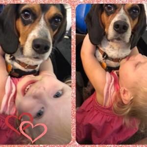 Meet your Posher, Crystal